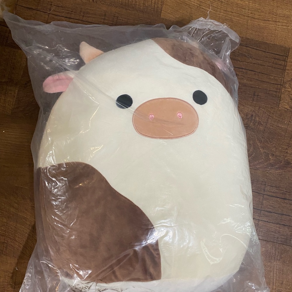 Ronnie “16 Squishmallow